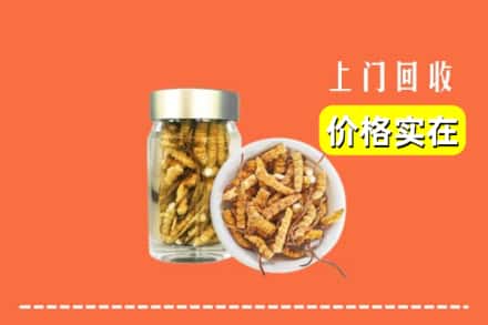 收购资讯:秦皇岛市回收散虫草