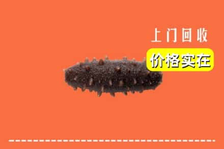 收购资讯:秦皇岛市回收海参