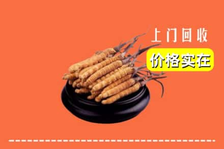 秦皇岛市回收冬虫夏草