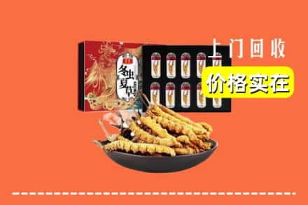 秦皇岛市回收虫草